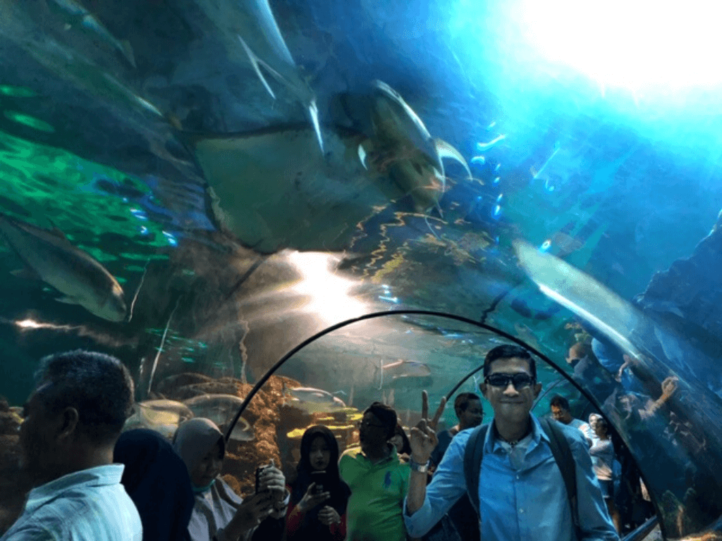 Terowongan Antasena Seaworld Ancol